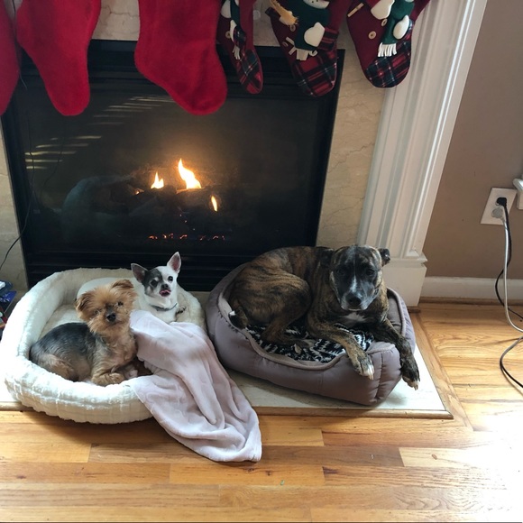 Meet your Posher, Isabel - Picture 1 of 1